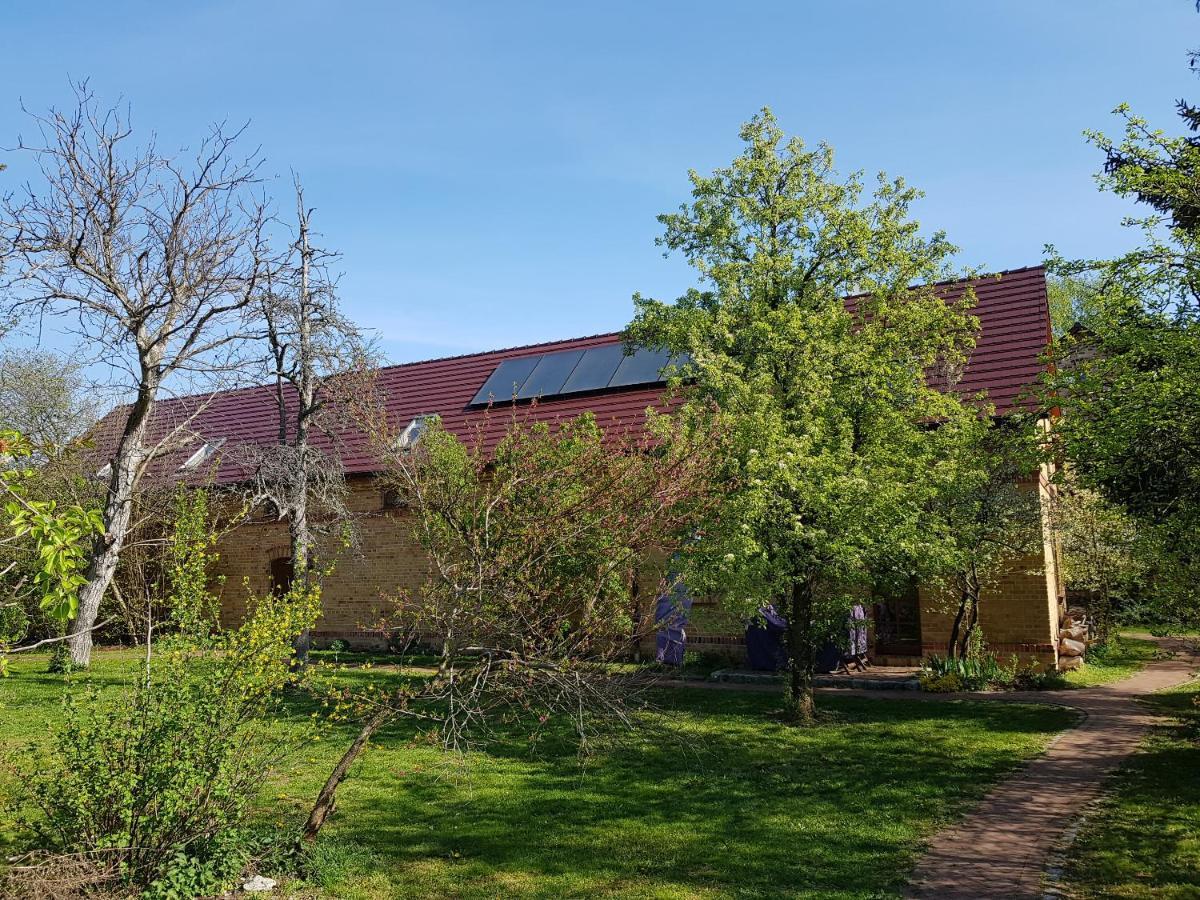 Ferienhaus Auf Dem Hof Lechner Drieschnitz Ngoại thất bức ảnh
